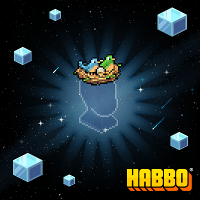 Bird's Nest Hat