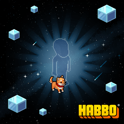 Faithful Shiba Inu