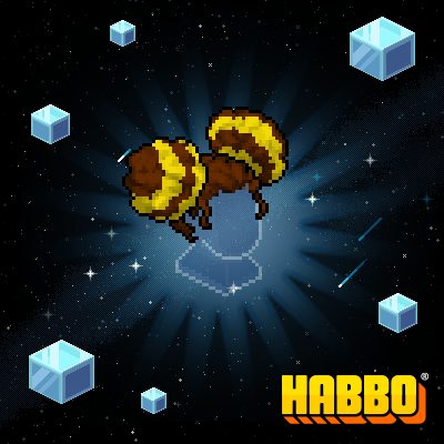 Bee Buns