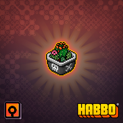 Potted Cactus 3