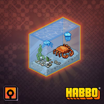 King Crab Tank